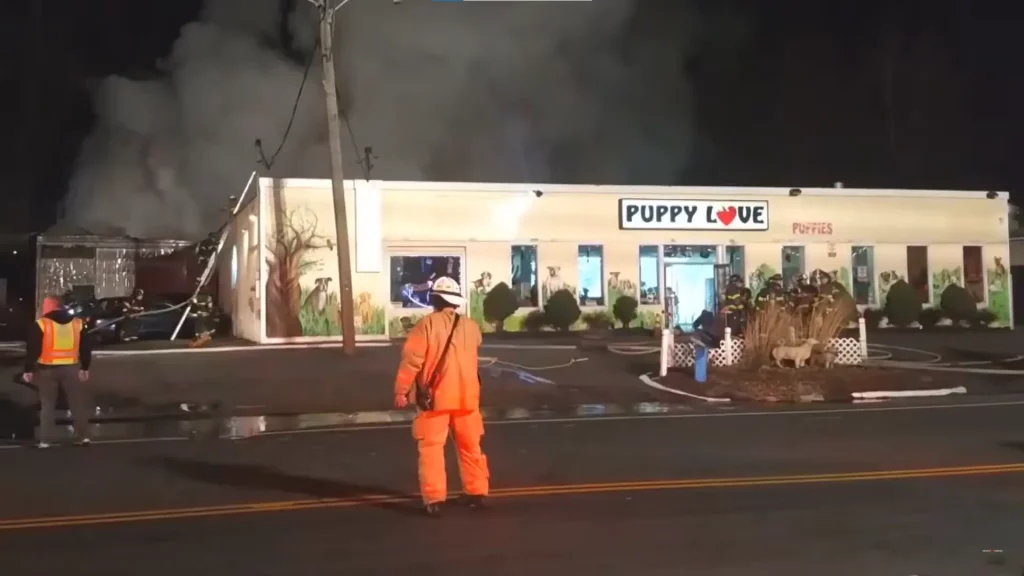 Waking up to a family's worst nightmare, a grandmother gets stuck with no escape. Then, a pet store calls on professionals and volunteers to help save some puppies from a structure fire. [...]
