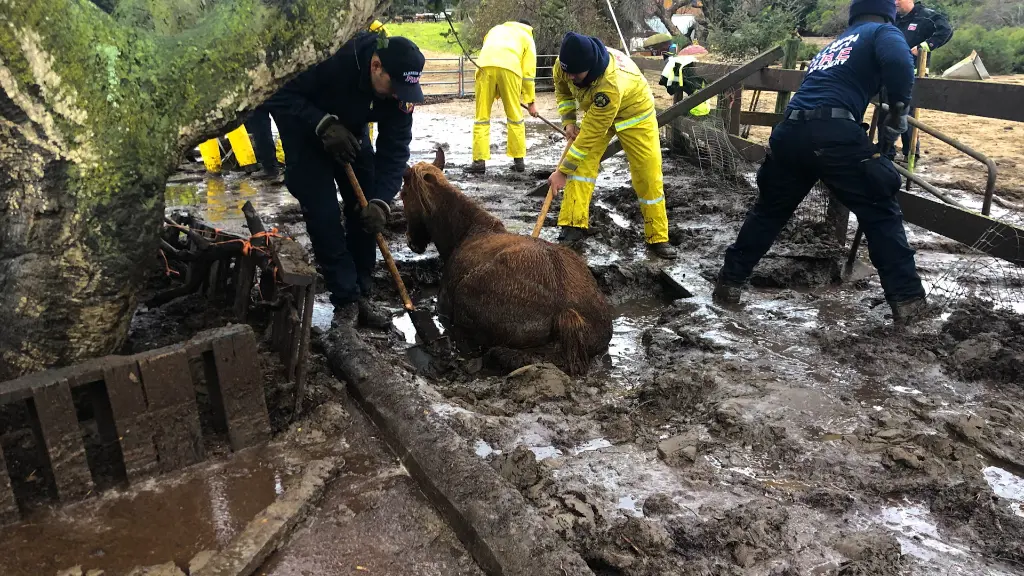 When a mudslide traps multiple horses, first responders must use ingenuity and quick thinking to release them to safety, and Firefighters must work quickly to control a fire that puts a historic town at risk.